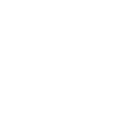 TR Digital Services - Bringing Your Vision to Life Digitally
